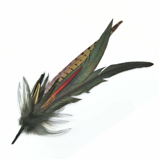 Elm fiery feather