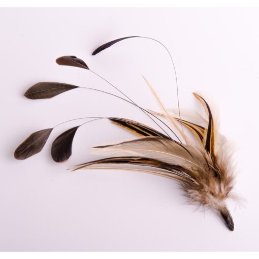 Elm Of Burford Hackle Coque Feather Hat Mount
