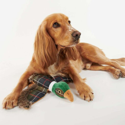 Barbour Pheasant Dog  Toy2 DAC0080TN111