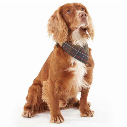 Barbour dog bandana2 DAC0013TN11S