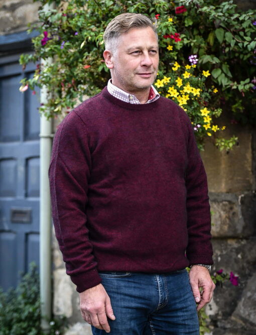 Noble Wilde Cambridge Crew Neck Jumper in Port NW1001385 outdoors