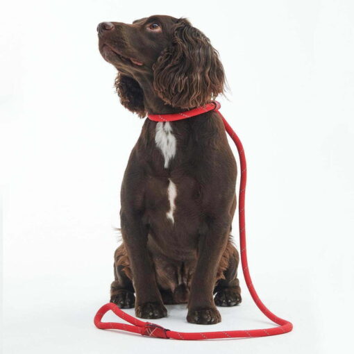 Barbour Reflective Slip Lead