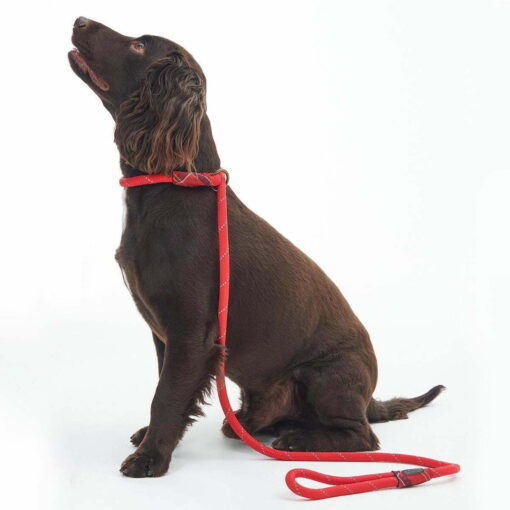 Barbour Reflective Slip Lead