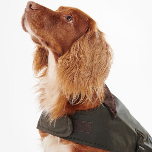 Barbour Wax Dog Coat