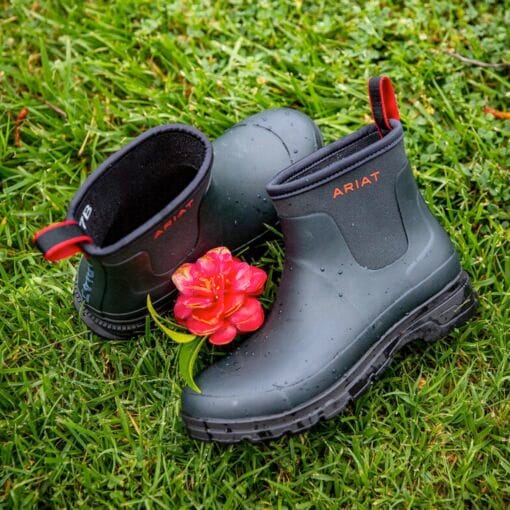 Ariat Kelmarsh Shortie Boots in Navy life 10047064