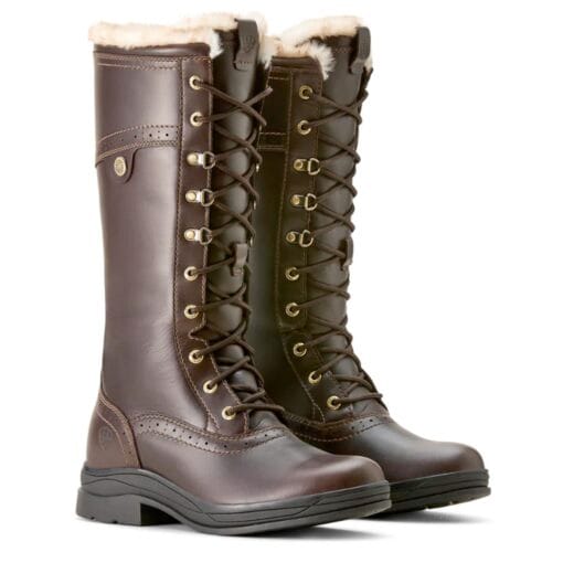 Ariat Wythburn II Sherpa H2O Boots in Dark Mocca 10053840 both