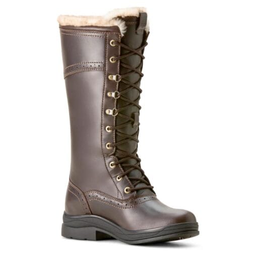 Ariat Wythburn II Sherpa H2O Boots in Dark Mocca 10053840 side