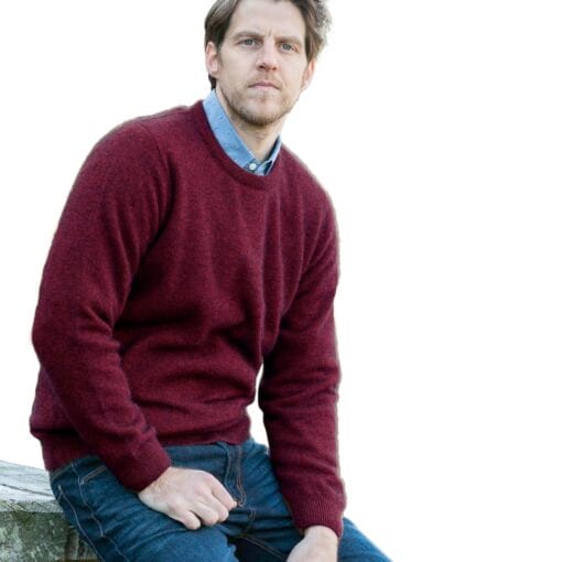 Noble Wilde Cambridge Crew Neck Tubular Jumper in Port NW1001N185