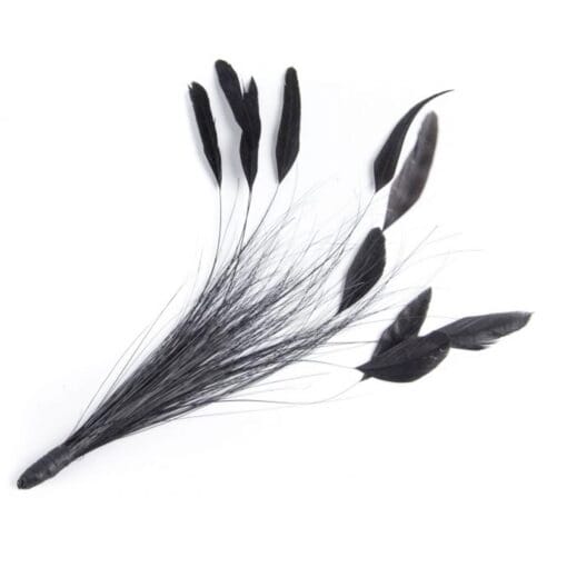 Coque and Herl Feather Hat Mount in Black
